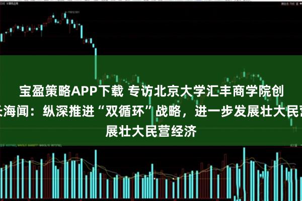 宝盈策略APP下载 专访北京大学汇丰商学院创院院长海闻：纵深推进“双循环”战略，进一步发展壮大民营经济