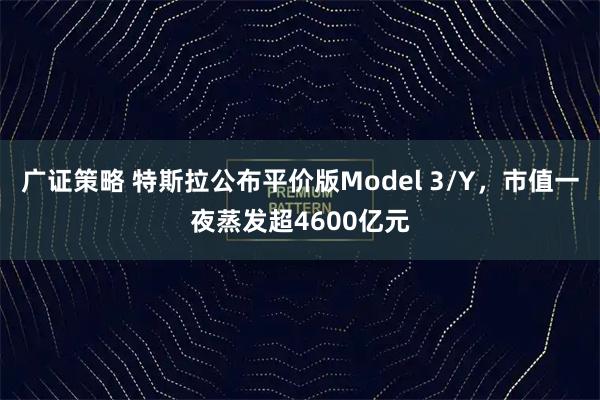 广证策略 特斯拉公布平价版Model 3/Y，市值一夜蒸发超4600亿元