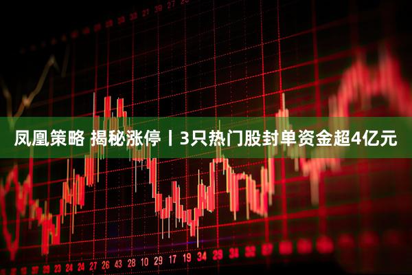 凤凰策略 揭秘涨停丨3只热门股封单资金超4亿元
