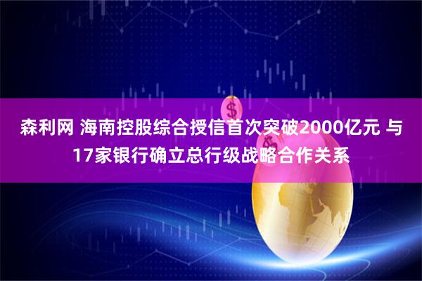 森利网 海南控股综合授信首次突破2000亿元 与17家银行确立总行级战略合作关系